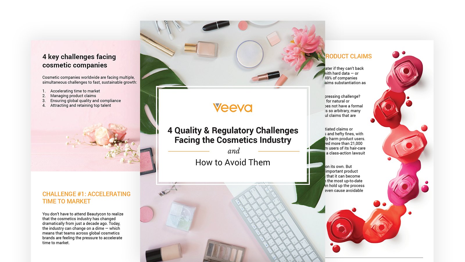 4 Regulatory and Quality Challenges
