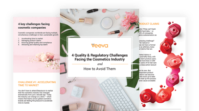 4 Regulatory and Quality Challenges