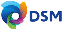big-logo-dsm