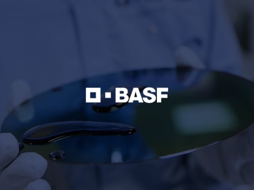 veeva basf customer image