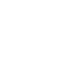 V white Veeva Logo