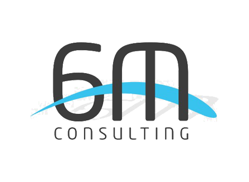 6M Consulting-logo
