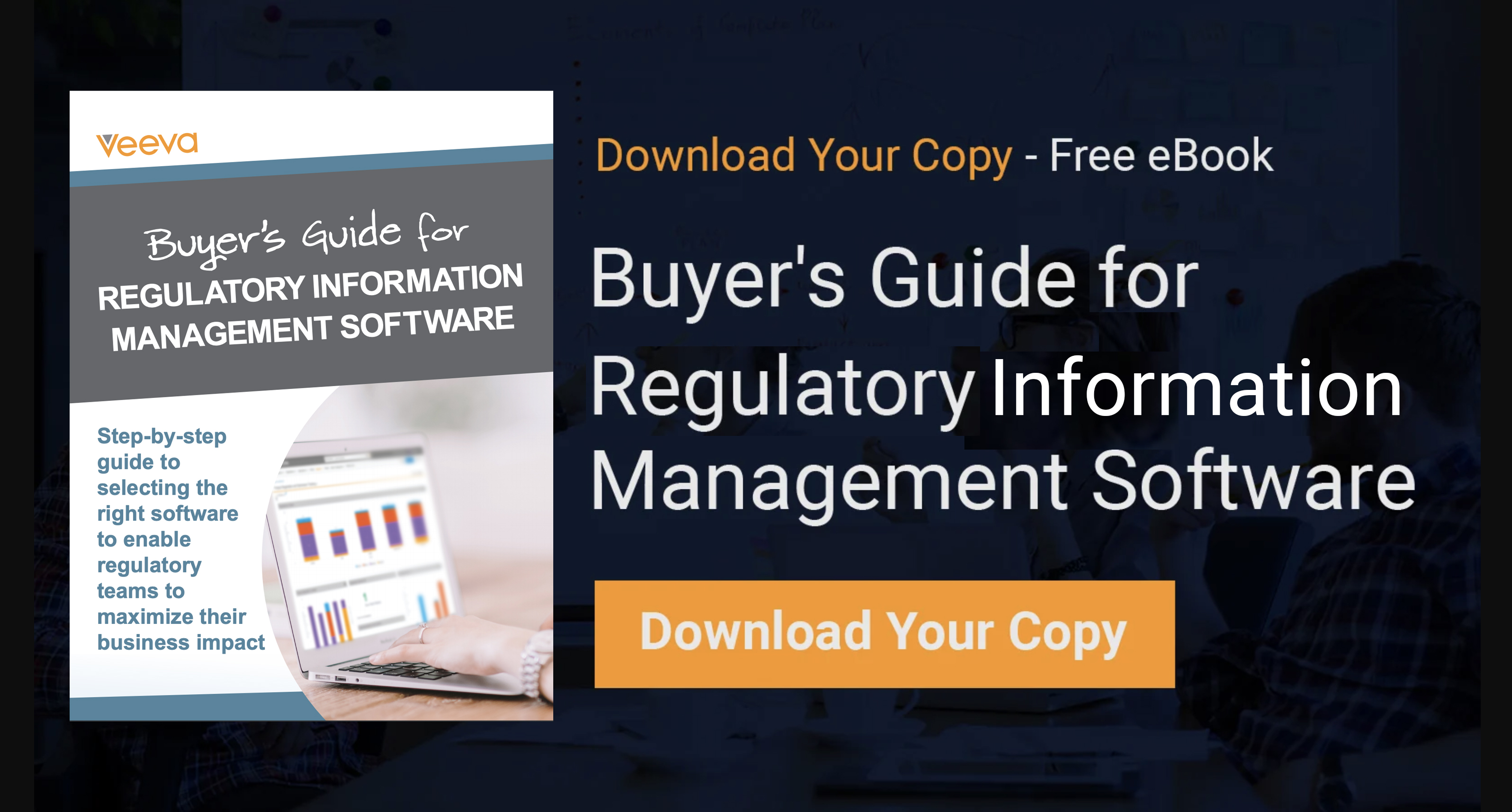 Cloud Buyers Guide Regulatory