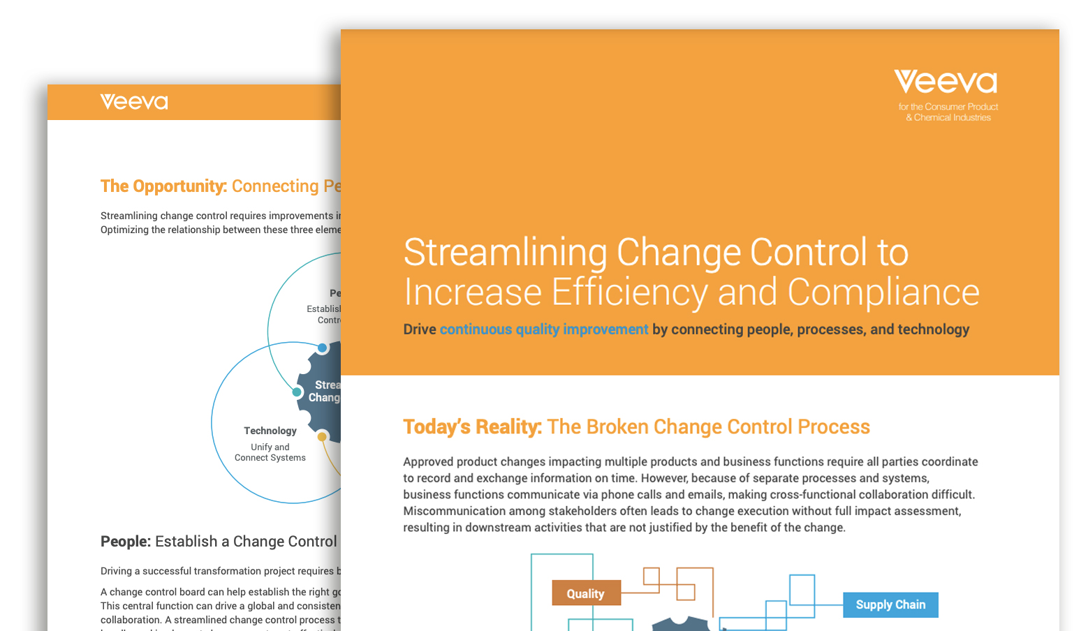 Streamlining Change - Resource image